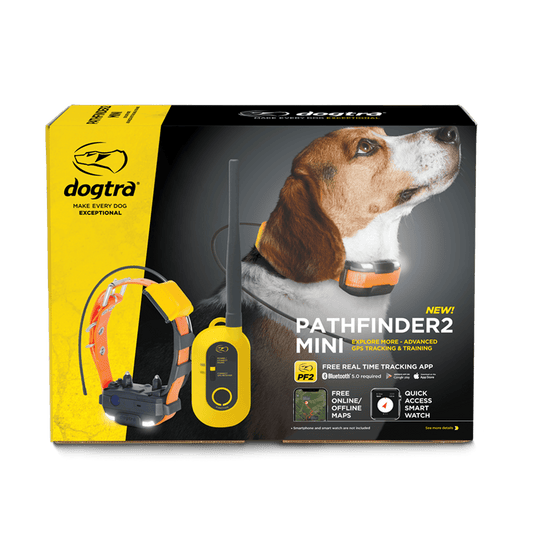 DOGTRA PATHFINDER2 MINI - Swagger Dog Services